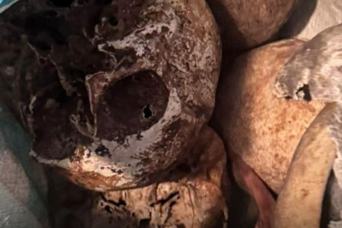 sp:-cranios-e-ossos-sao-achados-ao-lado-de-lapides-em-apartamento