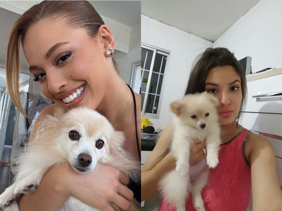 bia-do-bras-lamenta-morte-de-sua-cachorrinha-de-estimacao:-“a-casa-esta-vazia,-sem-vida”