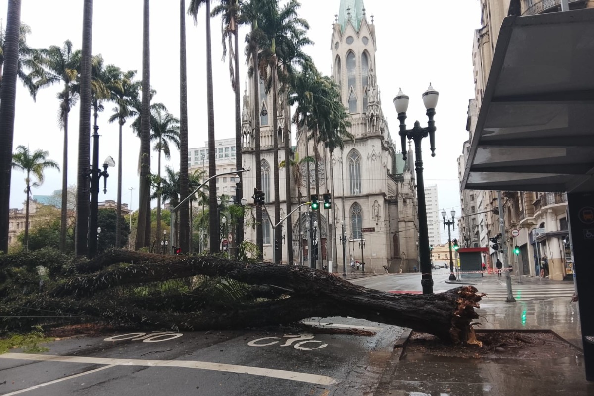 arvore-cai-apos-temporal-e-onibus-escapa-por-pouco-na-praca-da-se