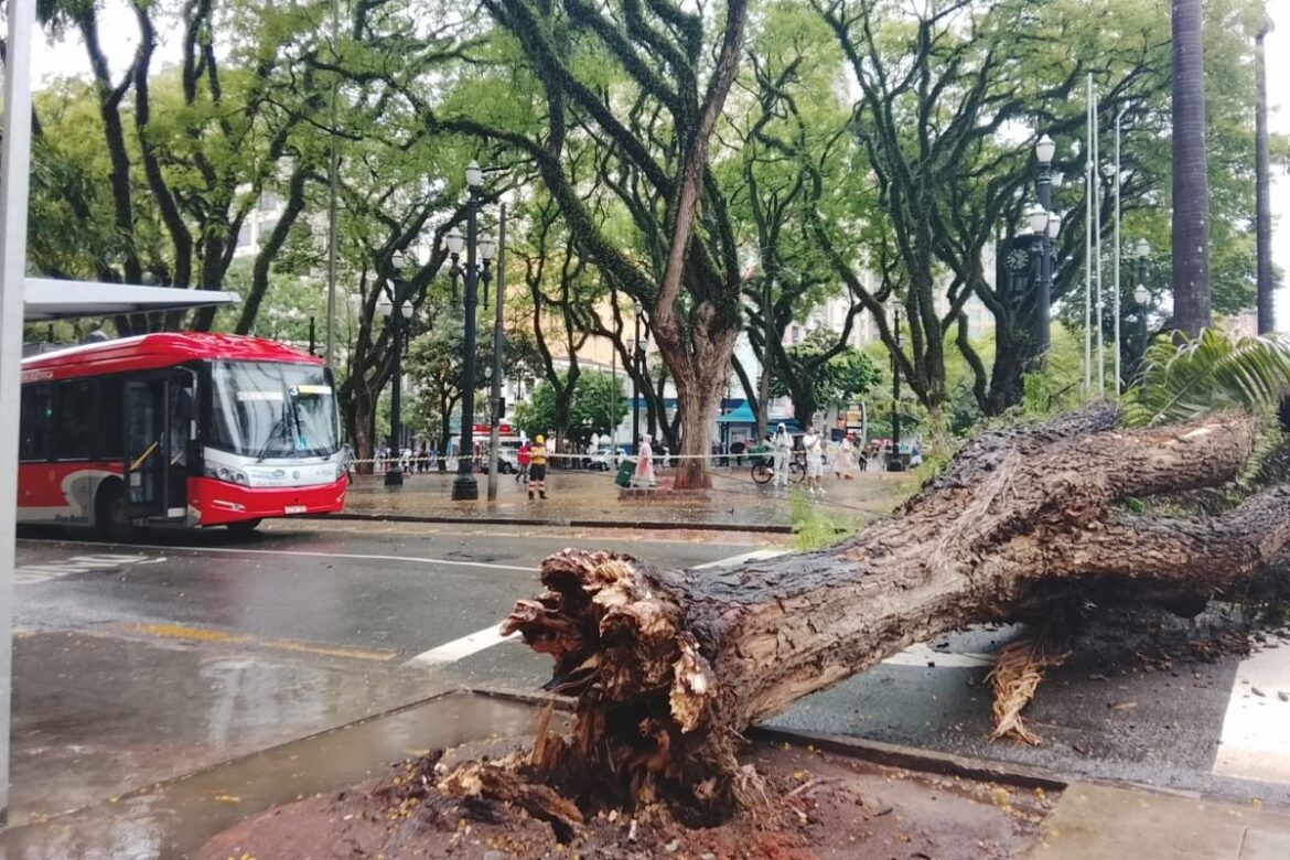 chuva-e-rajadas-de-vento-deixam-141-mil-imoveis-sem-luz-na-grande-sp