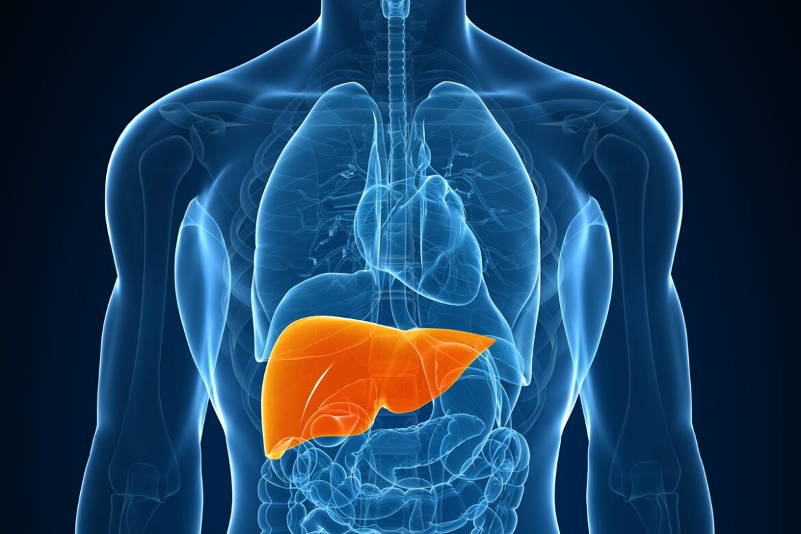 esteatose:-o-que-e-a-gordura-no-figado,-quais-os-riscos-e-como-tratar