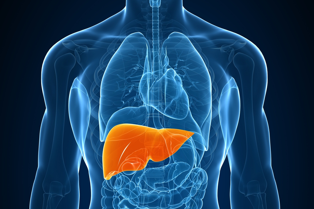 esteatose:-o-que-e-a-gordura-no-figado,-quais-os-riscos-e-como-tratar