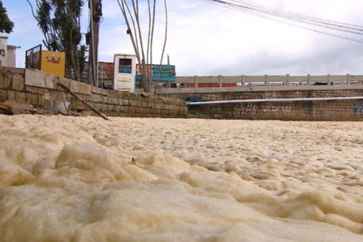 espuma-cobre-lagoa-em-florianopolis-e-preocupa-moradores-da-regiao