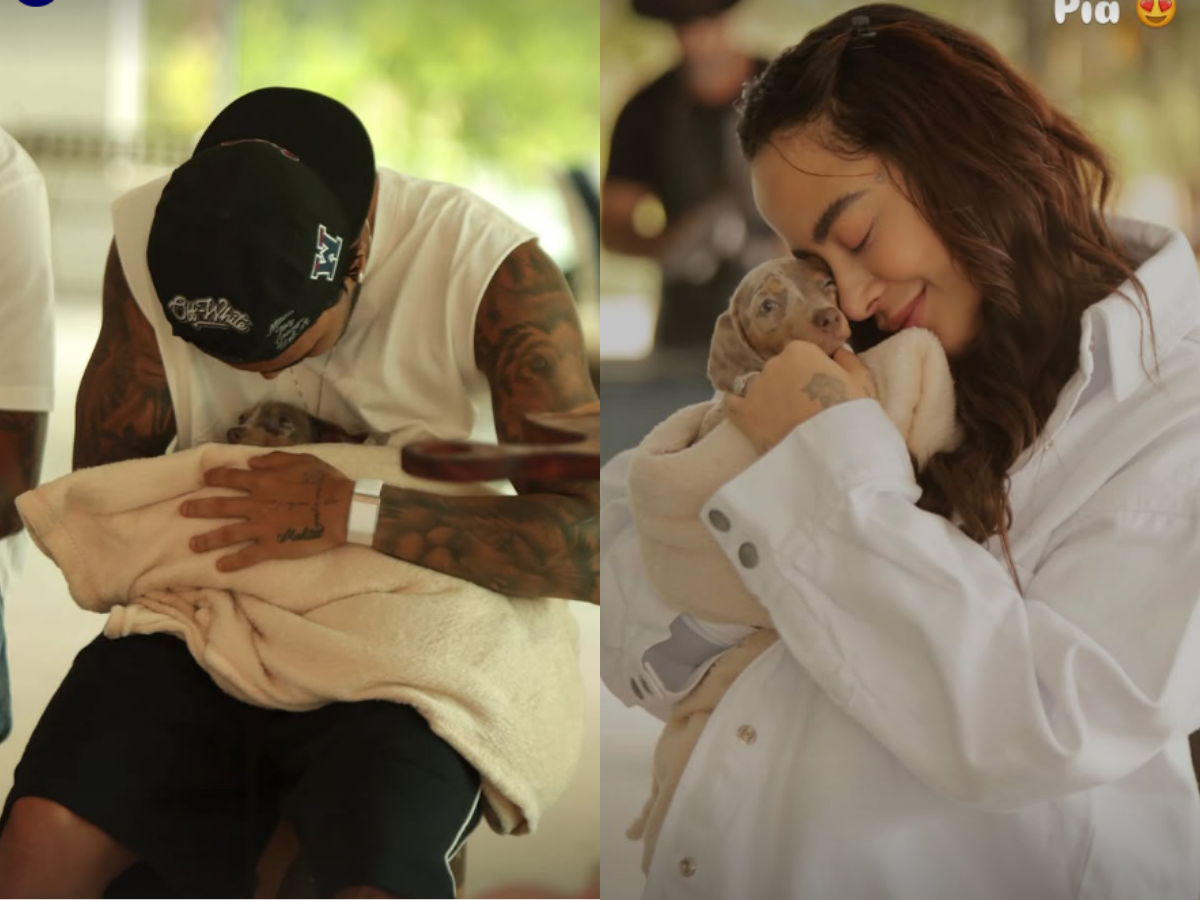 familia-cresceu!-gabigol-e-rafaella-santos-adotam-cao-apos-reatarem-namoro