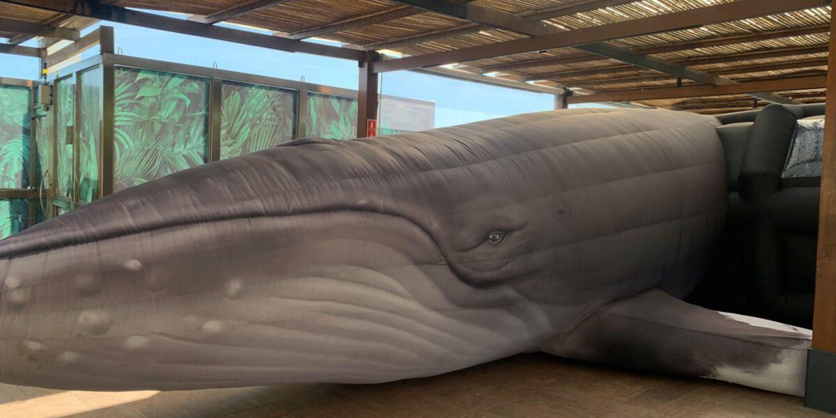 jardim-botanico-do-rio-expoe-replica-de-jubarte-por-conscientizacao