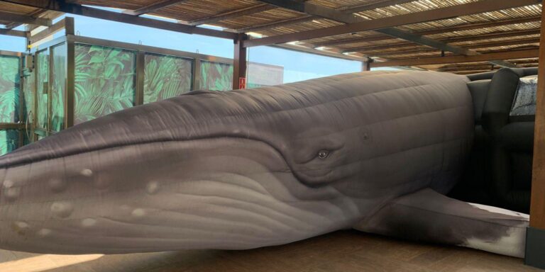 Jardim Botânico do Rio expõe réplica de jubarte por conscientização