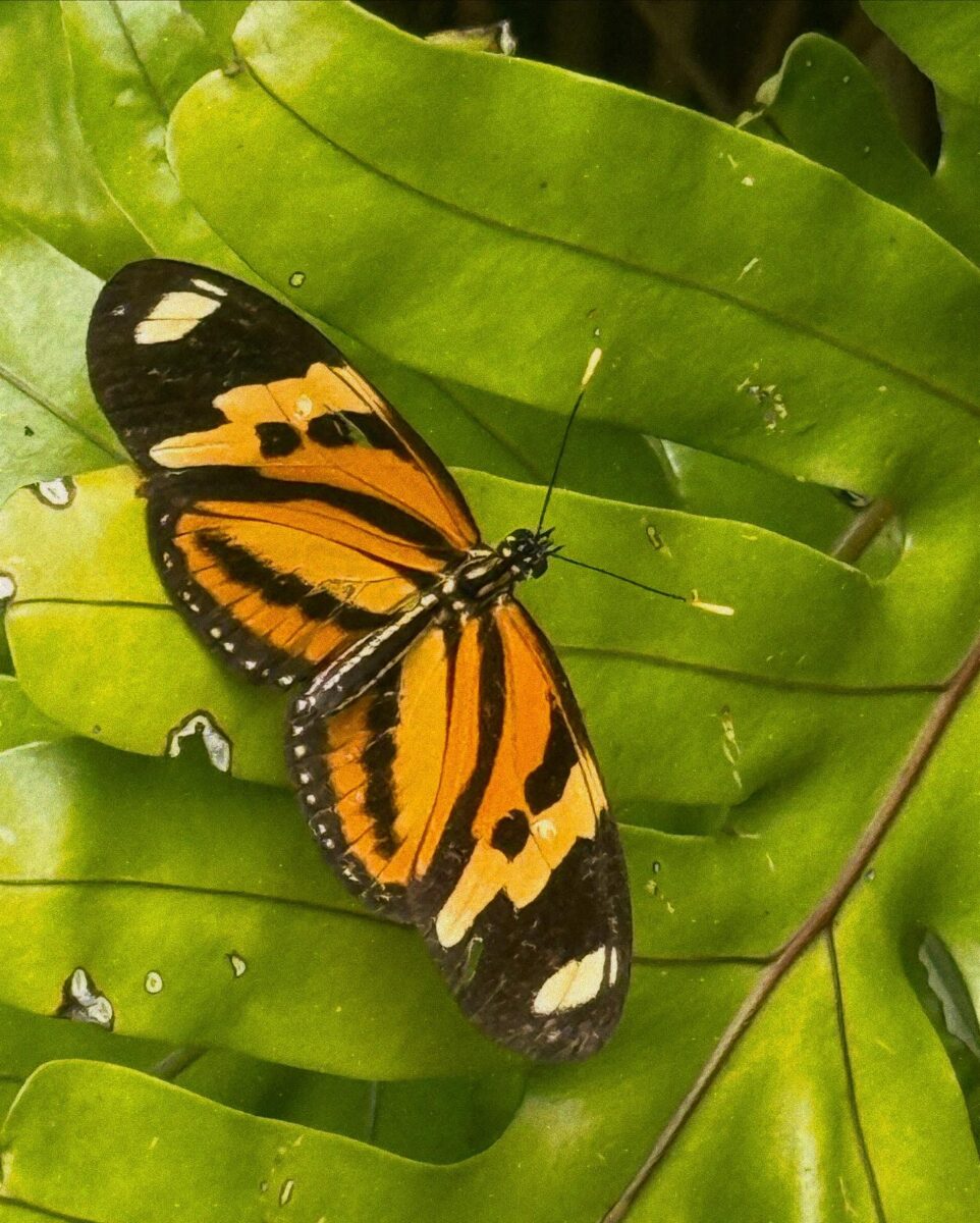 carolina-dieckmmann-desabafa-sobre-saudade-apos-tres-meses-da-morte-de-preta-gil