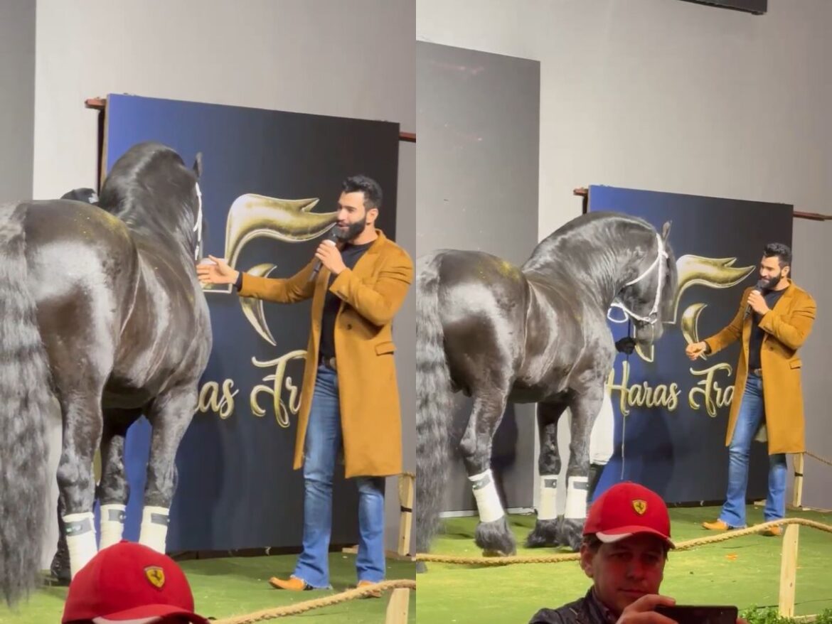 andressa-suita-curte-haras-de-gusttavo-lima-e-posa-com-cavalo-de-mais-de-r$-5-milhoes