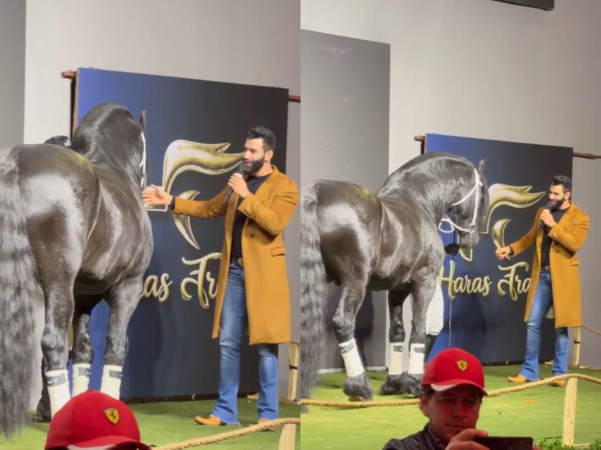 andressa-suita-curte-haras-de-gusttavo-lima-e-posa-com-cavalo-de-mais-de-r$-5-milhoes