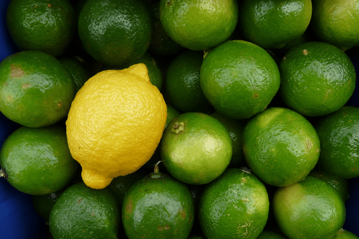 saiba-escolher-limoes,-e-para-qualquer-problema,-faca-uma-limonada