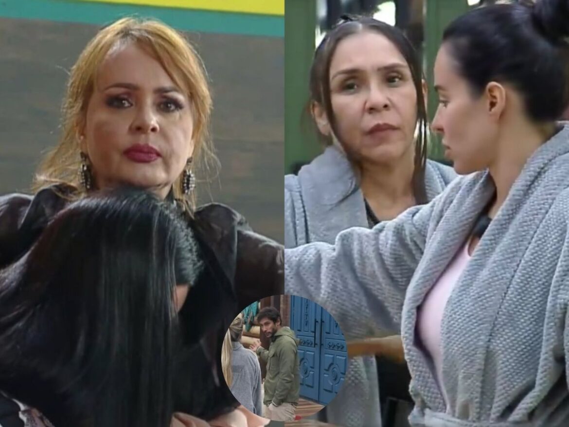 “foi-proposital”:-gaby-spanic-confirma-que-agrediu-tamires-para-deixar-“a-fazenda”