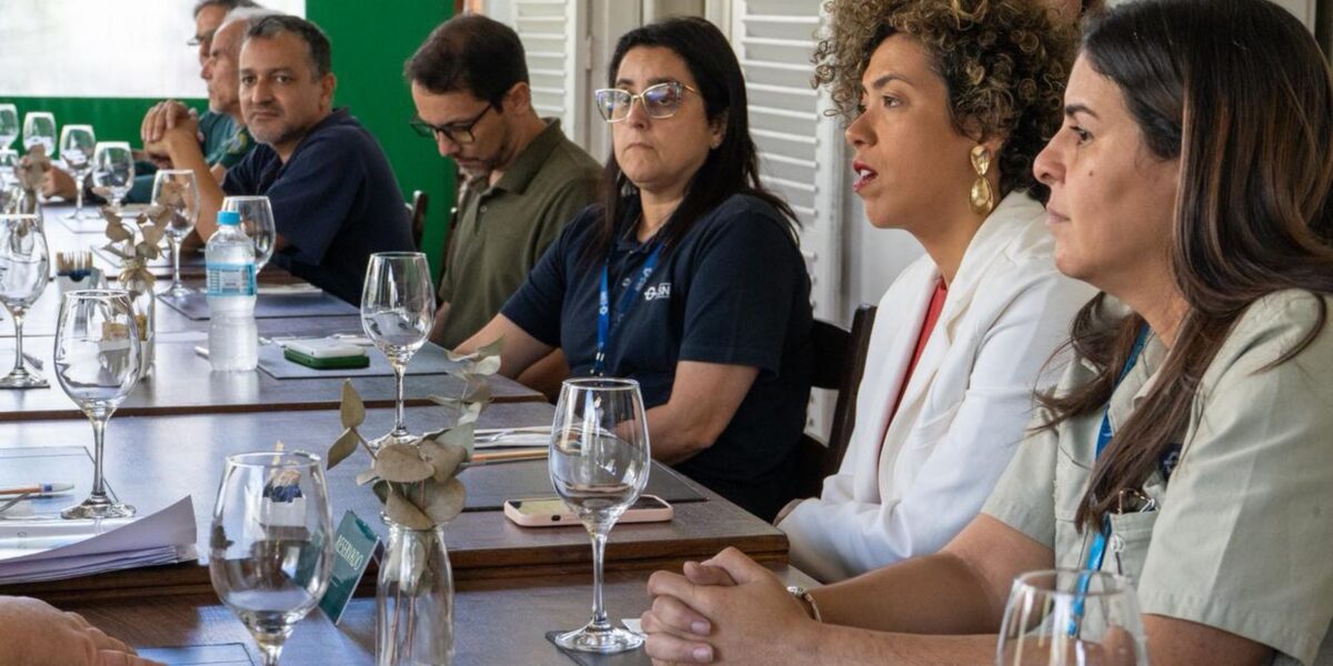 comissao-da-camara-pede-que-ibama-fiscalize-crimes-ambientais-da-csn