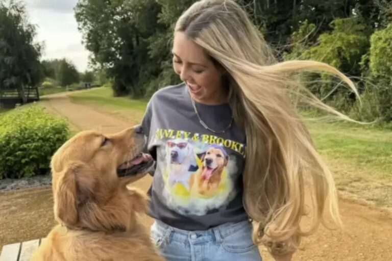 Golden é resgatado de caminhão e “renasce” com o amor de uma família