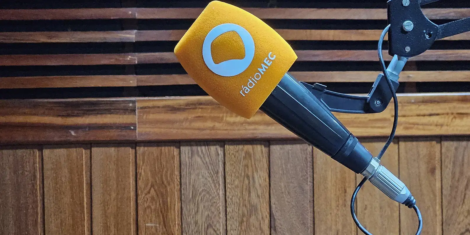 Conversa com o Autor da Rádio MEC recebe poetas neste domingo