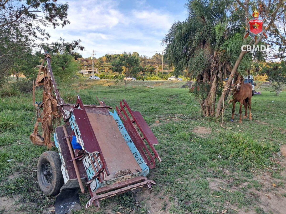carroca-desgovernada-atropela-tres-pessoas-no-lago-norte