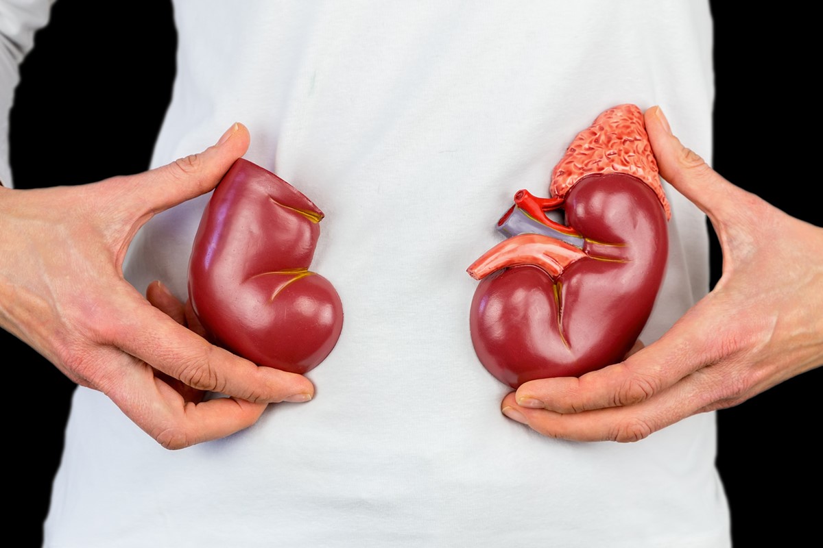 alem-da-agua:-6-alimentos-que-mantem-os-rins-saudaveis