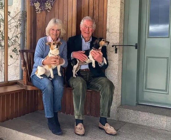 apos-escandalos,-andrew-perde-titulos-e-e-despejado-por-ordem-do-rei-charles-iii