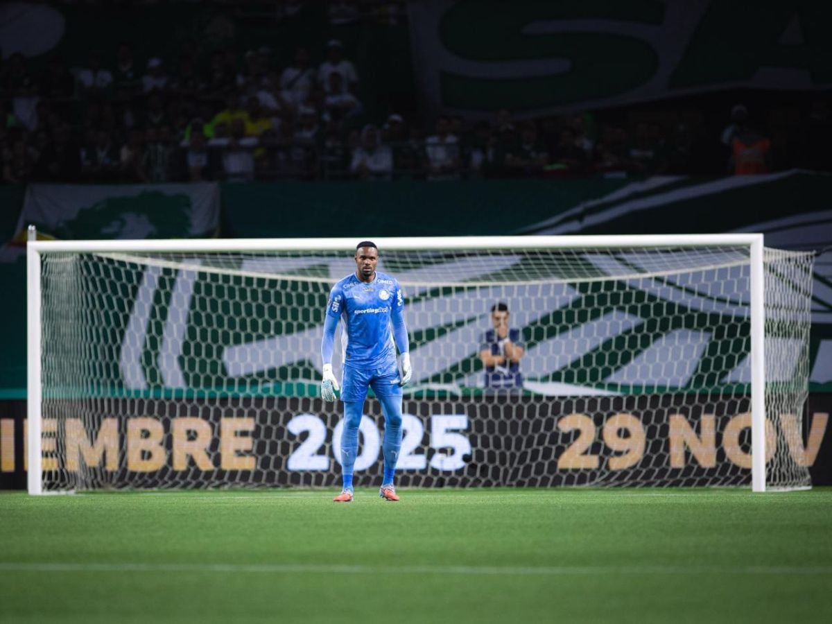 carlos-miguel-celebra-classificacao-historica-do-palmeiras-a-final-da-libertadores