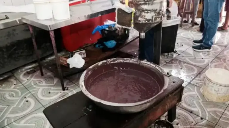 Peles e ossadas de animais são apreendidas em fábrica de açaí