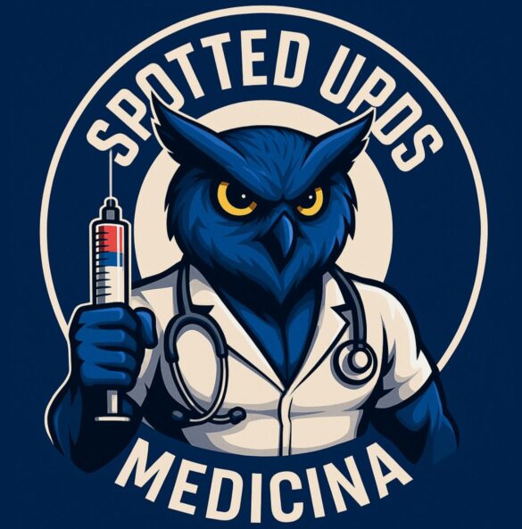 WhatsApp Image 2025-08-12 at 00.00.39