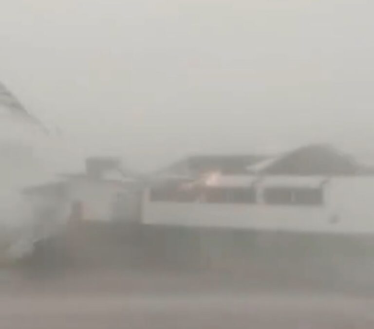 Temporal com ventania arranca telhados e derruba árvores em Porto Velho