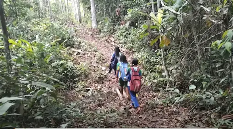 Aparição de onça em ramal de Cruzeiro do Sul leva estudantes a faltarem às aulas por medo