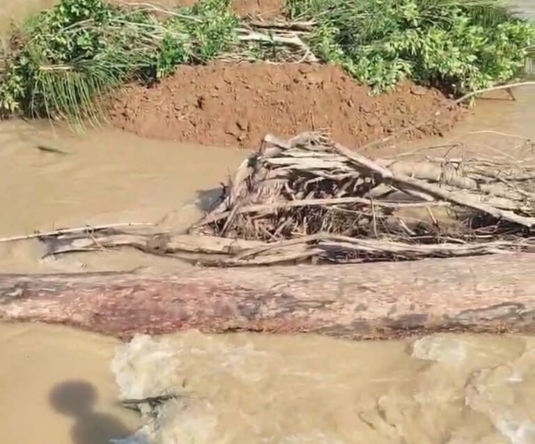 Moradores denunciam bloqueio em rio no Acre causado por empresa de manejo florestal