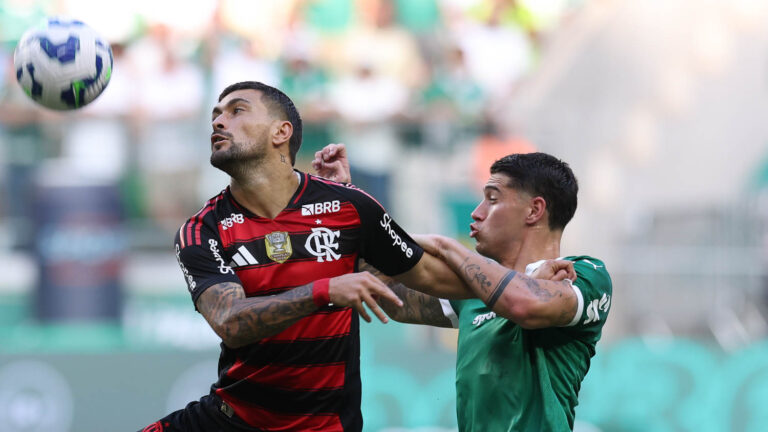 Palmeiras e Flamengo estão confirmados na final da Copa Libertadores