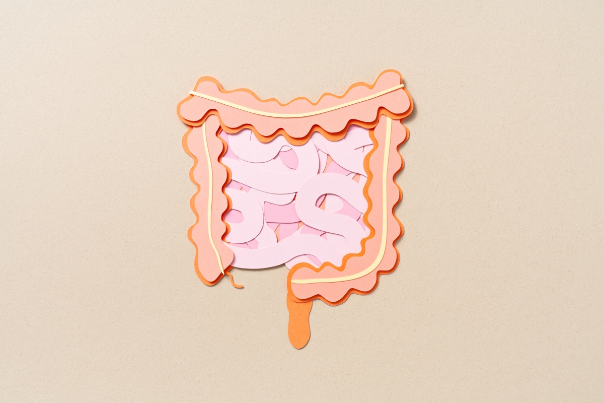 probioticos-podem-reduzir-danos-intestinais-causados-por-antidepressivos