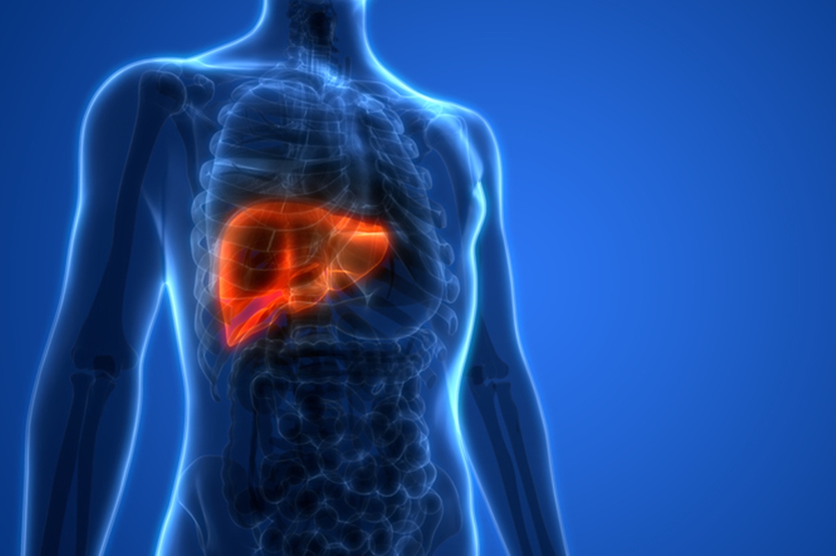 chas-para-gordura-no-figado:-veja-4-opcoes,-beneficios-e-como-tomar