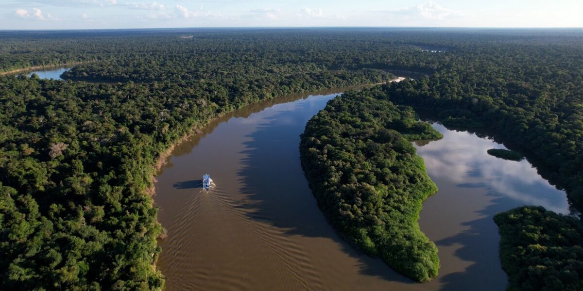 amazonia-e-cerrado-tem-dados-historicos-de-reducao-do-desmatamento