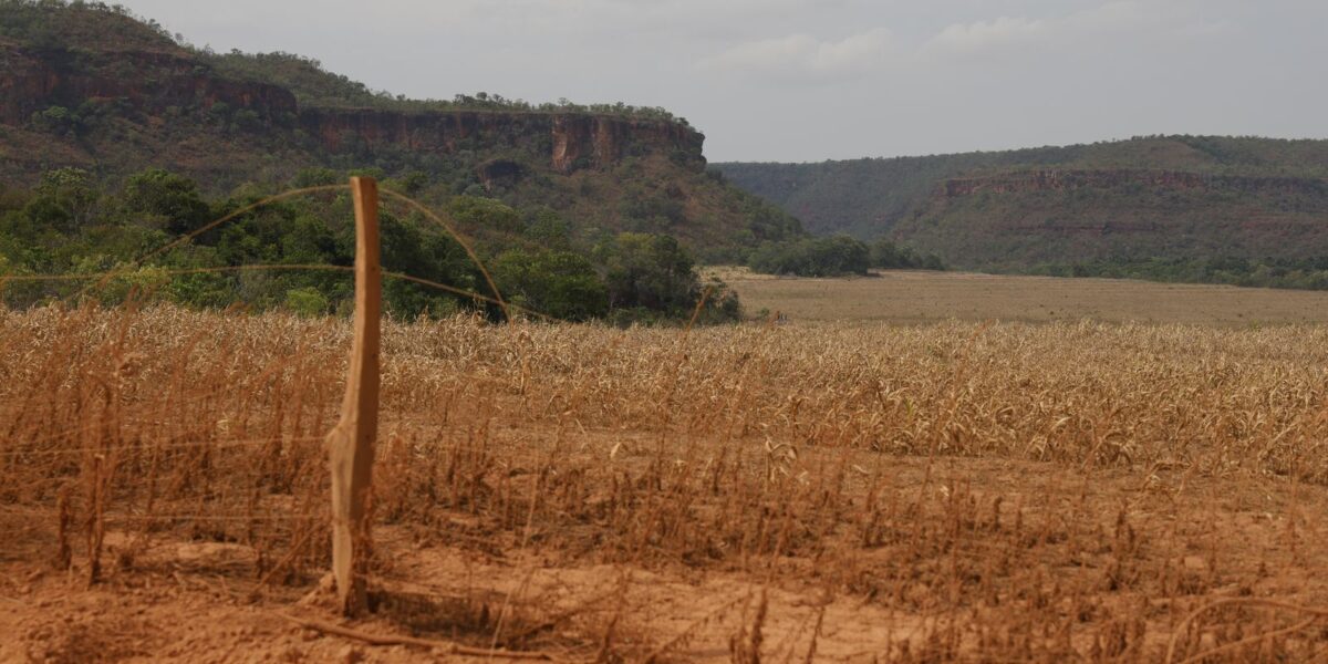 fronteira-cerrado:-acesso-desigual-ao-estado-agrava-conflitos-agrarios