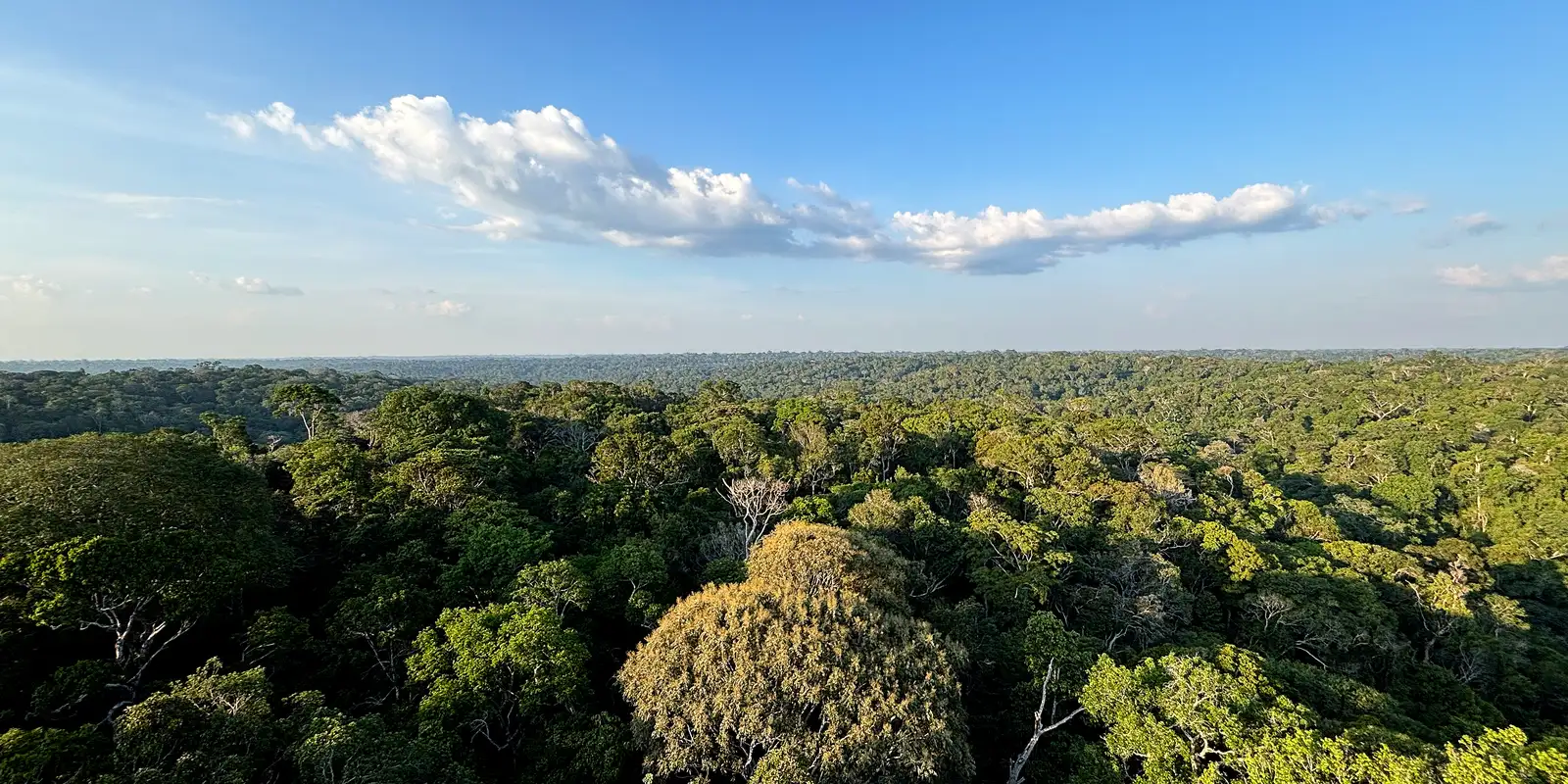COP30: o que é, quando acontece e o que será discutido em Belém