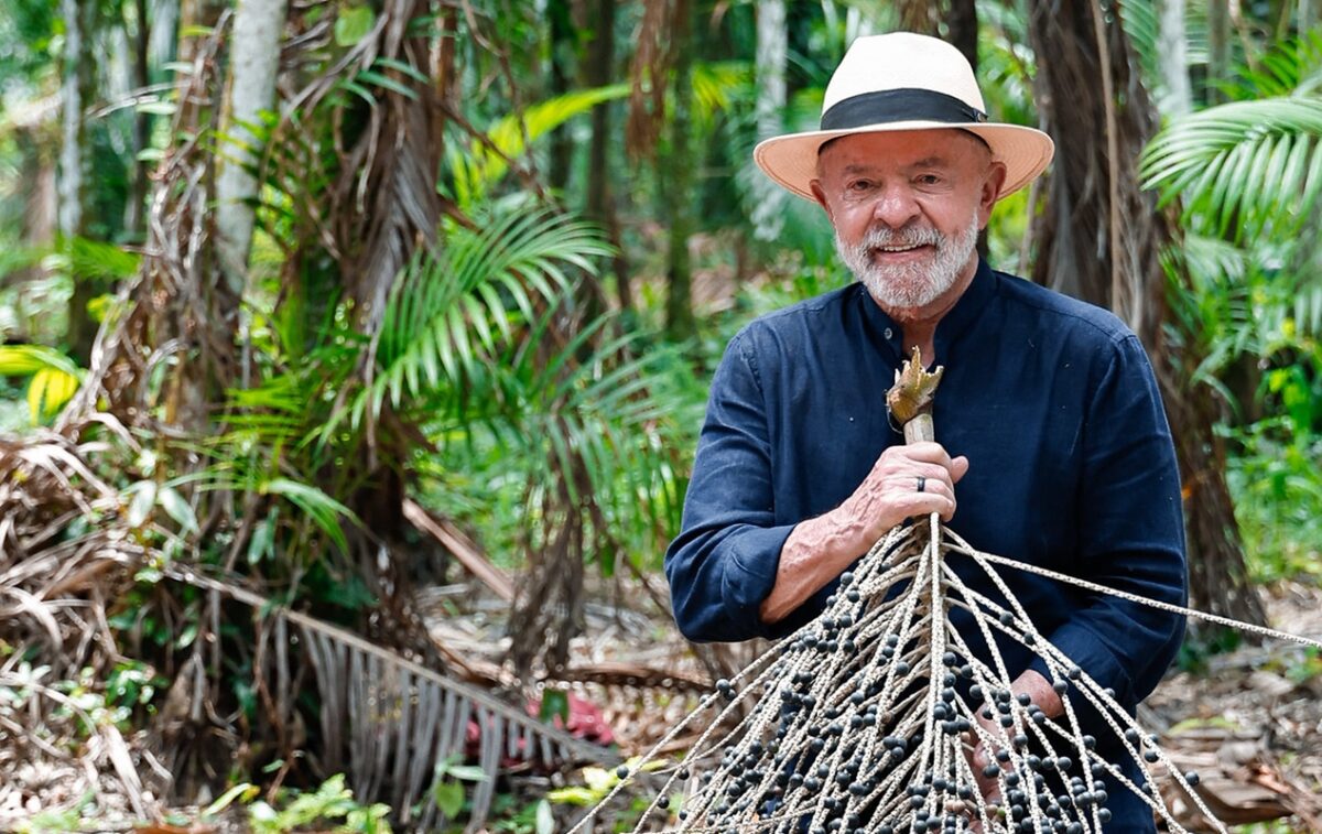 lula-e-o-seu-“fundo-florestas-para-sempre”:-nunca-e-para-sempre