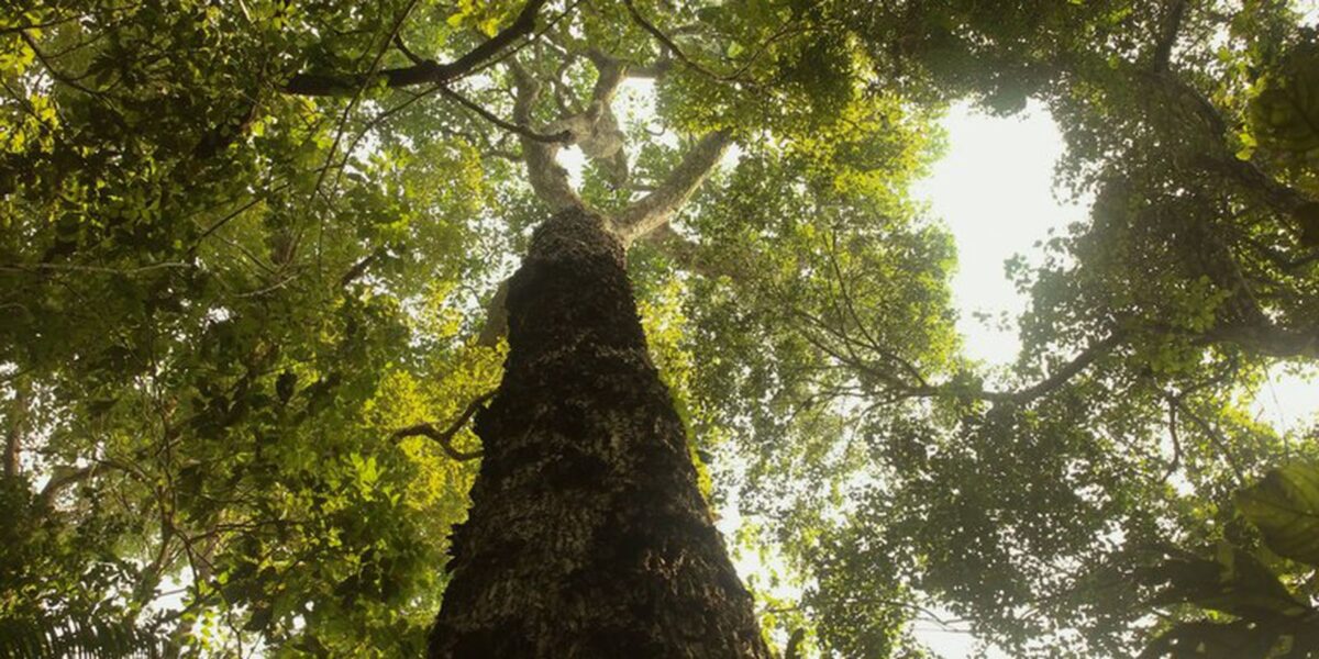 tv-brasil-estreia-nova-temporada-de-“parques-do-brasil”-neste-domingo