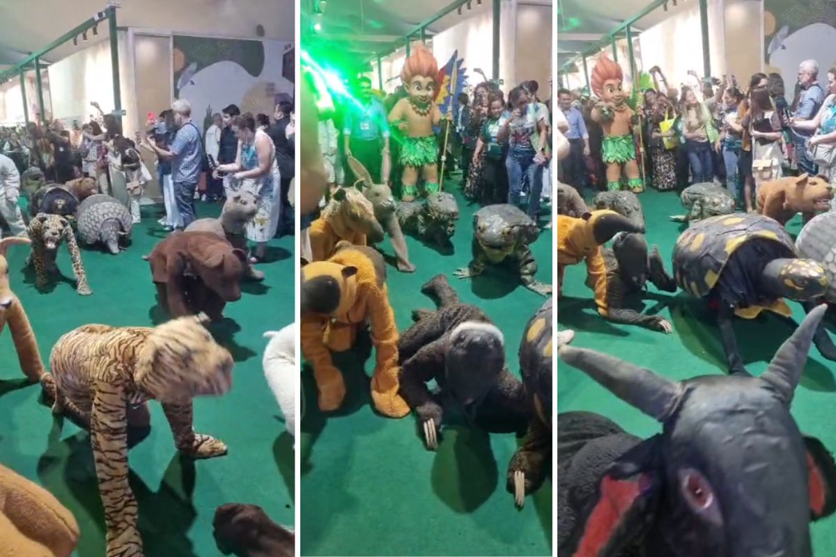 cop30-tem-atores-vestidos-de-animais-rastejando-pela-greenzonee