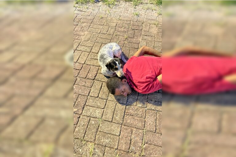 Conhecido ladrão do Guará é preso após arrombar hamburgueria