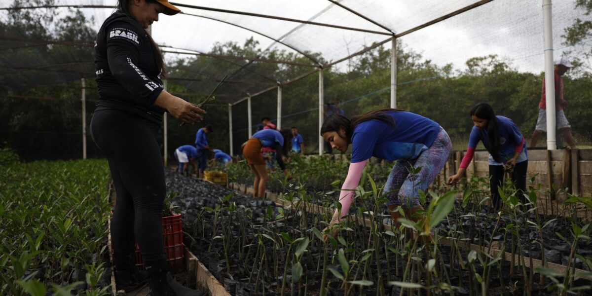 governo-fecha-parceria-para-expandir-energia-renovavel-na-amazonia