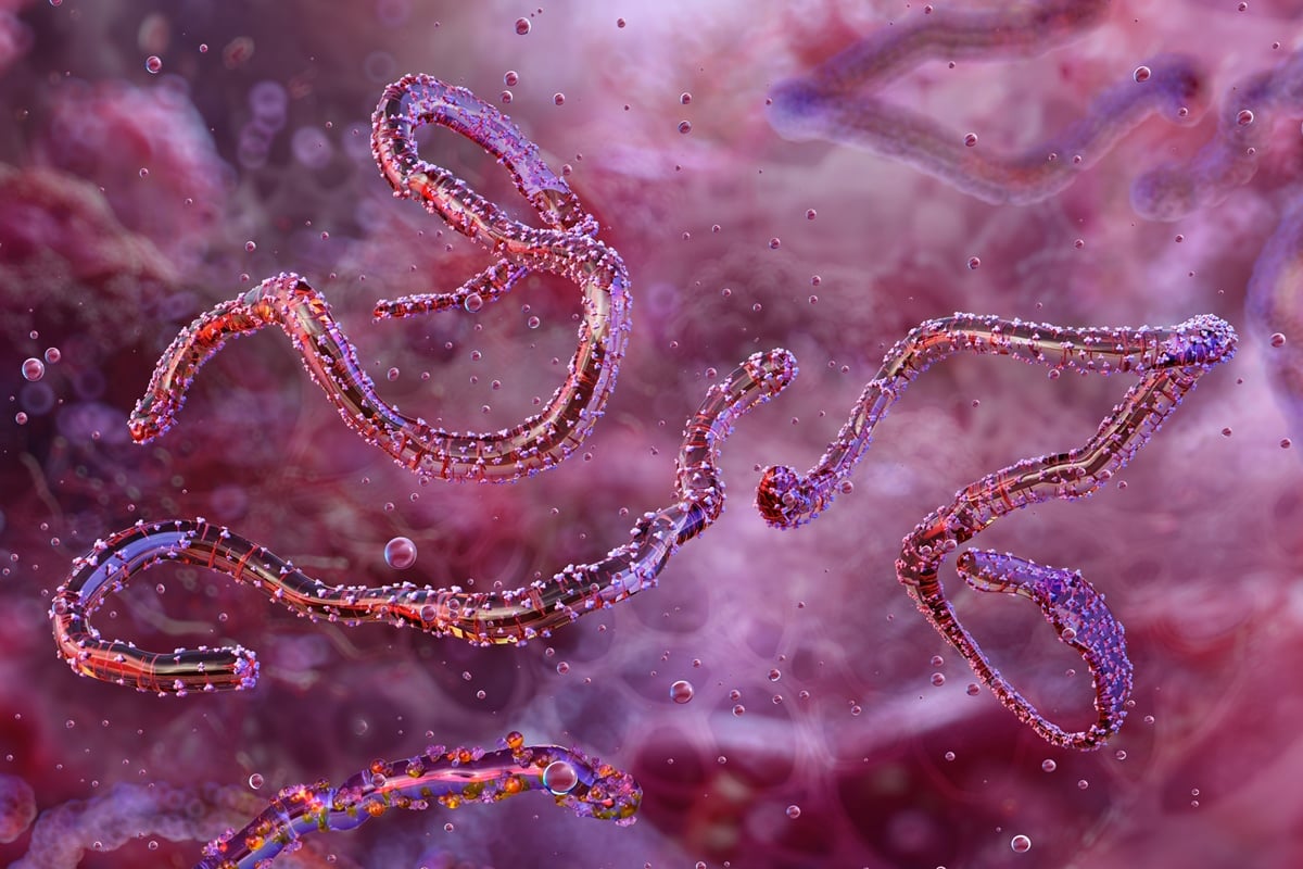 etiopia-confirma-surto-de-marburg-e-investiga-mortes-ligadas-ao-virus