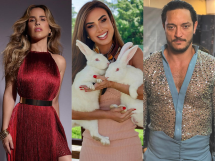 Nicole Bahls aumenta “fazenda de famosos” com coelhos chamados Wanessa Camargo e Allan Souza