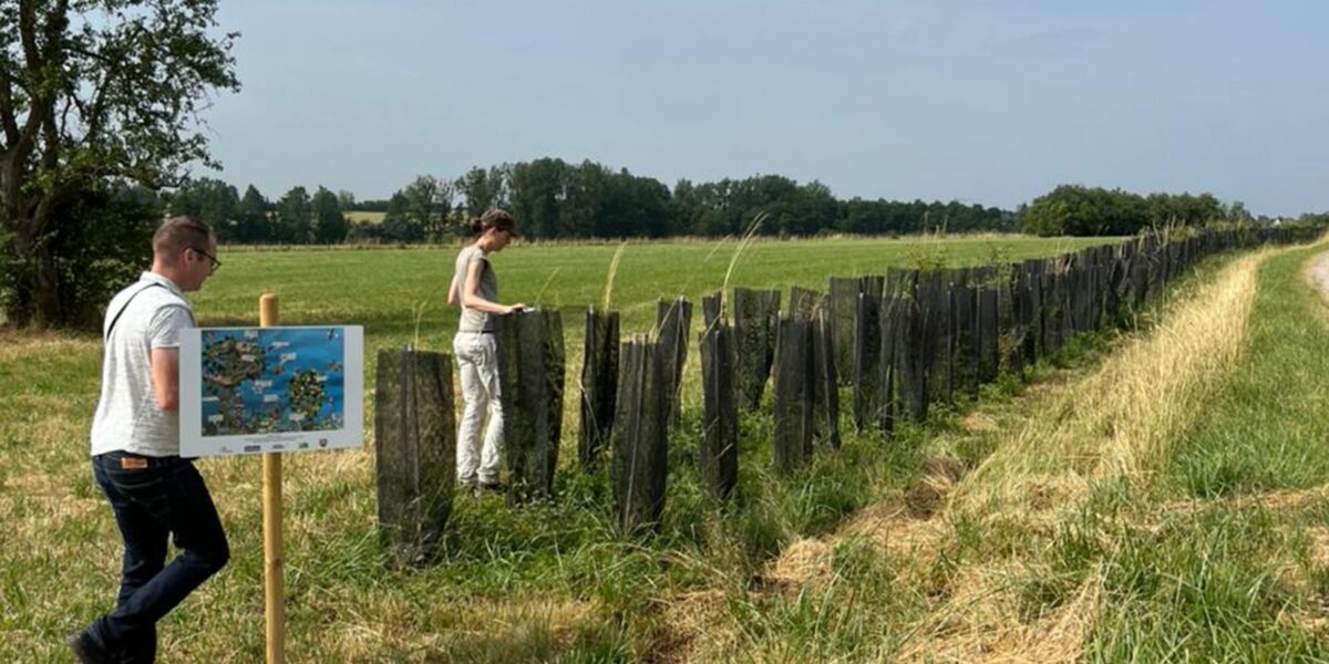 floresta-em-pe:-lavoura-e-arvores-reduzem-impacto-de-mudanca-climatica