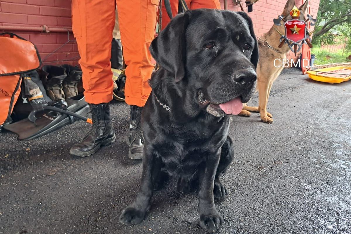 cao-do-corpo-de-bombeiros-localiza-empresaria-desaparecida-na-chapada