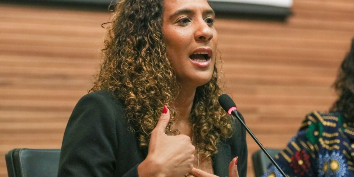 expectativa-e-que-mulheres-sejam-ouvidas,-diz-anielle-sobre-marcha