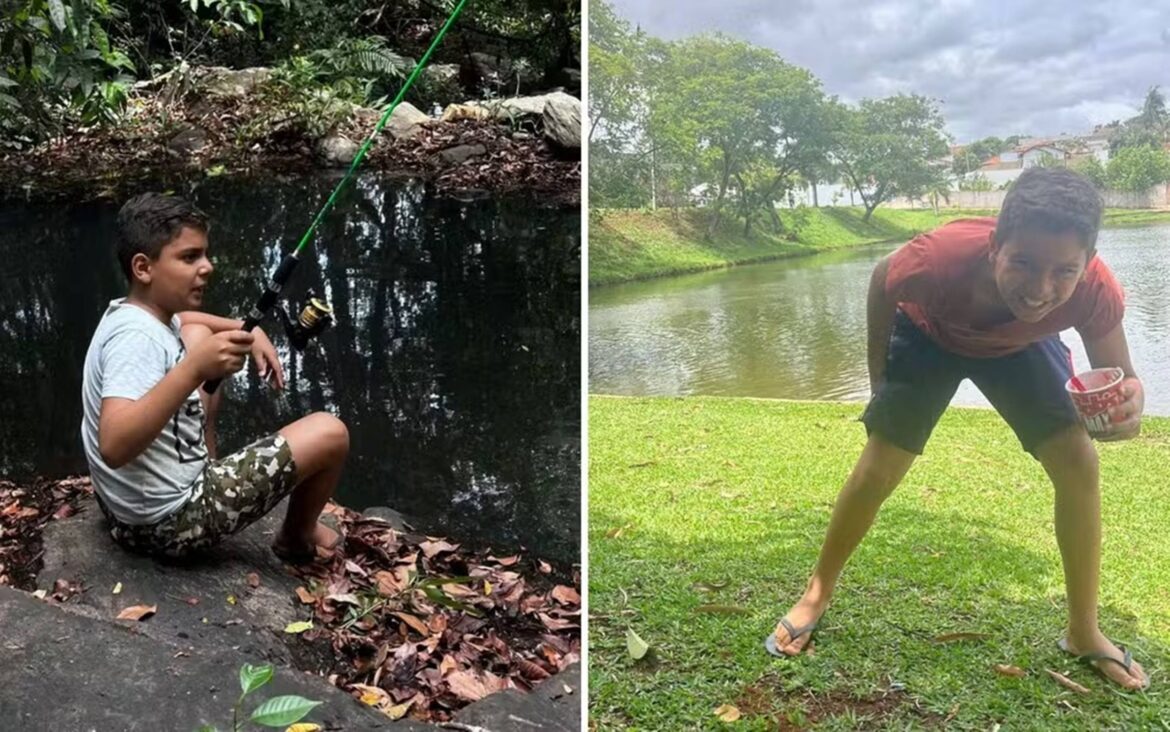 morre-menino-que-levou-mais-de-1.000-picadas-de-abelhas-em-goias