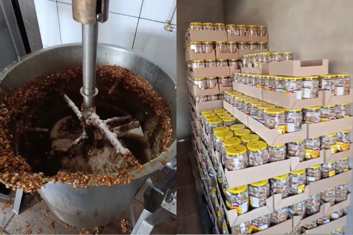 pacoca-com-coco-de-rato:-policia-identifica-fabrica-de-doces-clandestina