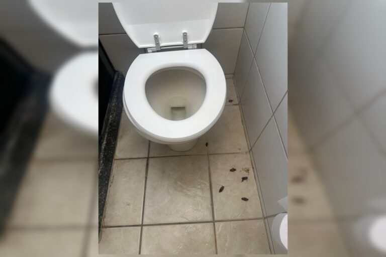 Brasiliense se desespera com “invasão de baratas” em resort de luxo