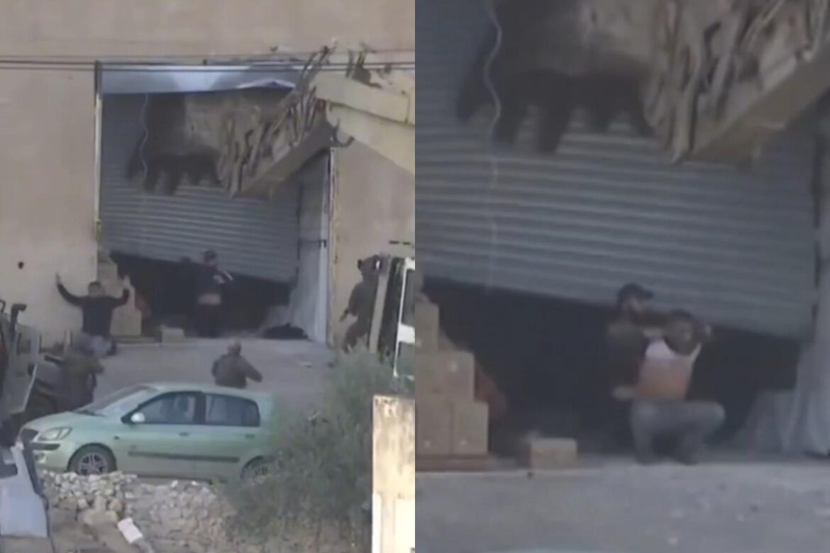 militares-de-israel-matam-dois-palestinos-rendidos-na-cisjordania