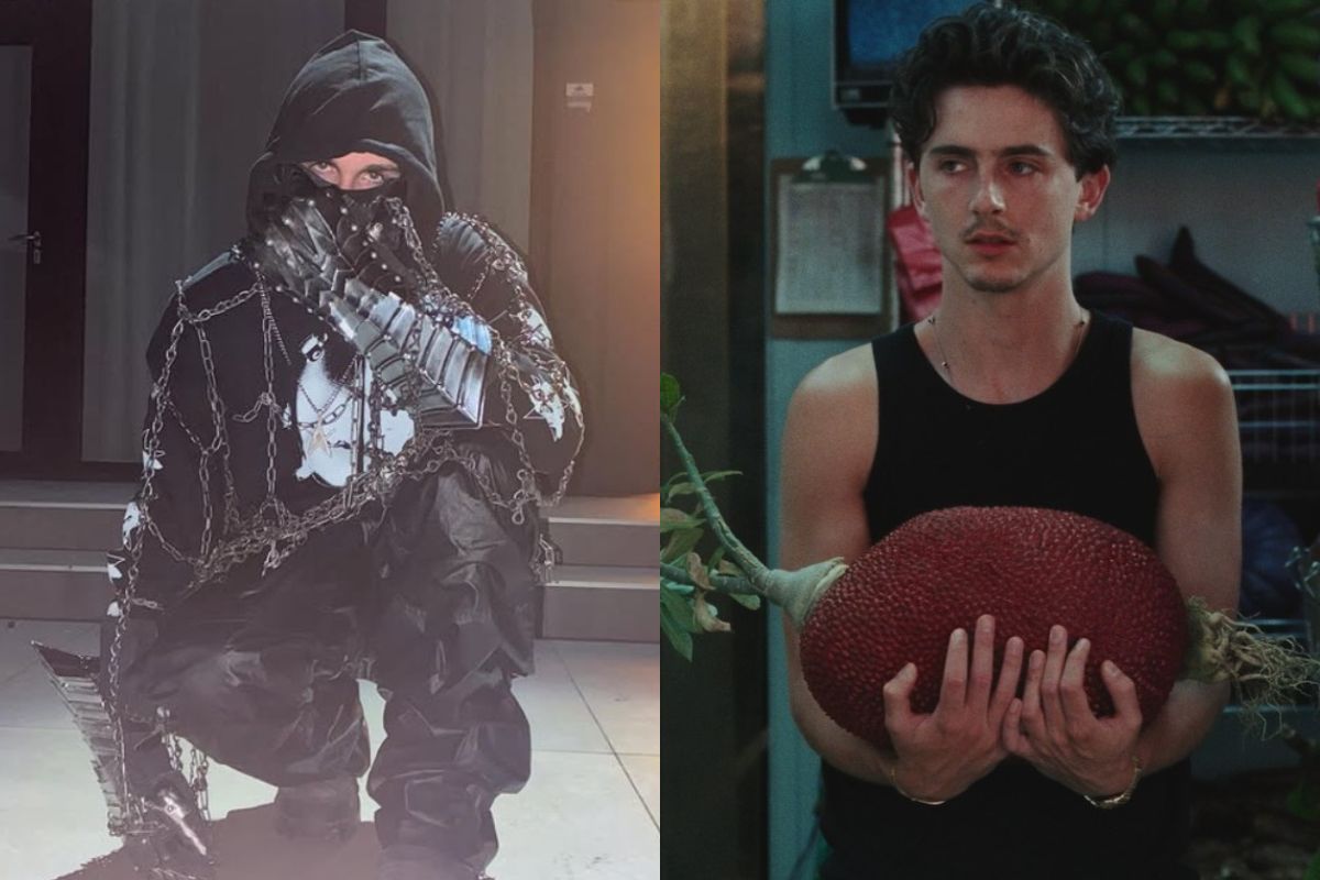 teoria-com-timothee-chalamet-dispara-buscas-por-rapper-mascarado
