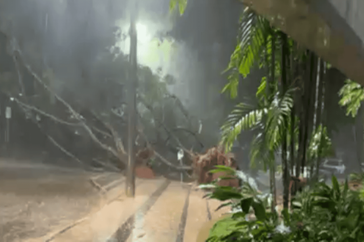 temporal-no-df-derruba-arvores-sobre-carros-e-afeta-area-do-senado