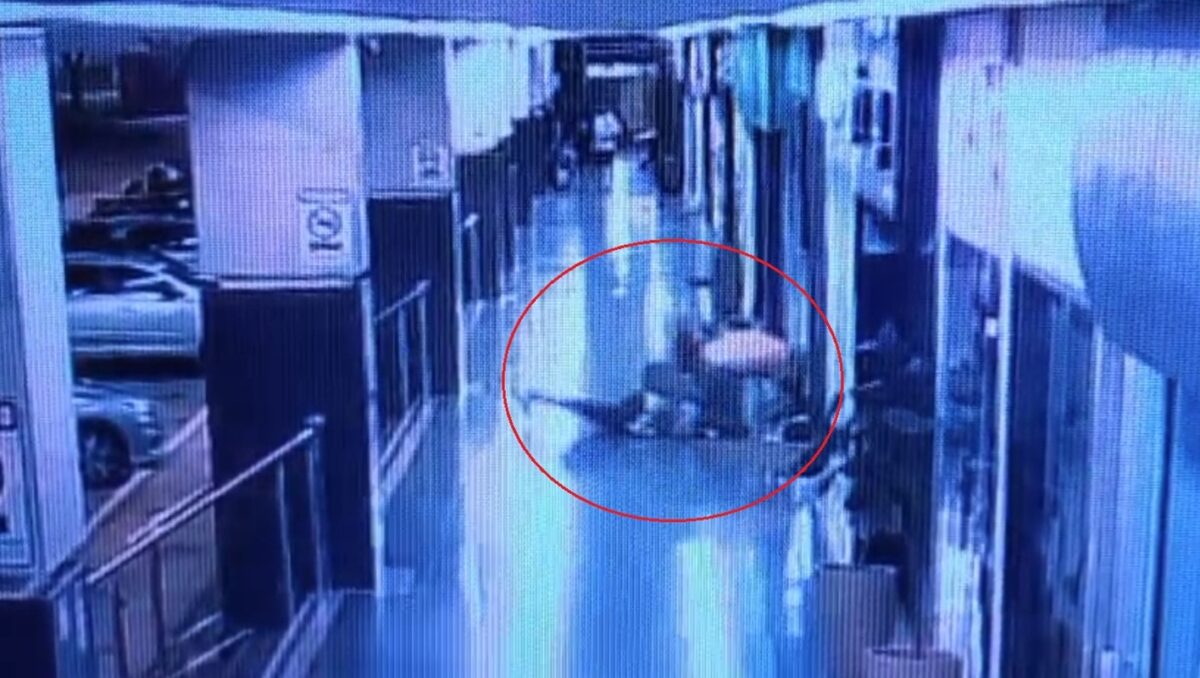 filha-de-flamenguista-espancado-deu-mata-leao-em-palmeirense-para-ajudar-pai